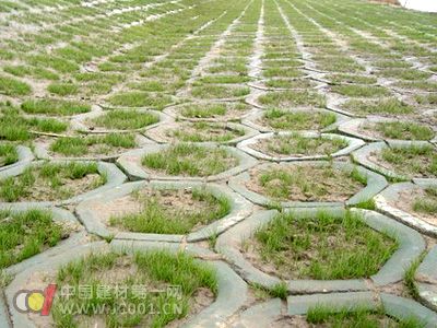 全新生态混凝土亮相 水泥块上能种草皮