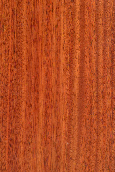 金典地板-唯美派芬兰直纹红檀木wm060g