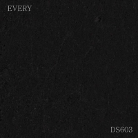 ɶ-DS603