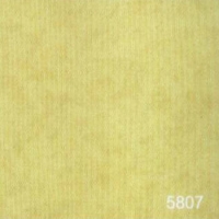 5607 ϵܽذ|ܽذ