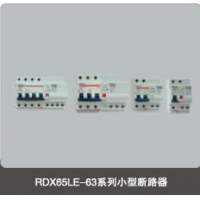 RDX65LE-63ϵСͶ·
