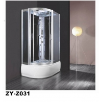   ZY-Z031