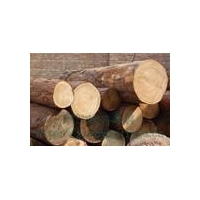 【新年優質木材優惠】城陽木材批發青島木材批發青島木材加工廠家