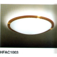 HFAC1003-µ繤