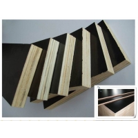 建筑模板木材和木質人造板