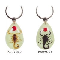 【昆蟲琥珀飾品特價】人工昆蟲琥珀鑰匙扣