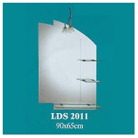 LDS 2011