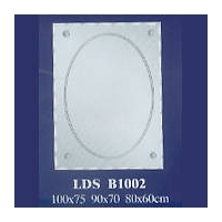 LDS B1002