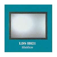 LDS H021