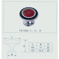 Ϸ--TS-7022