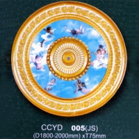 CCYD 005JS
