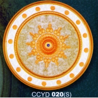 CCYD 020S