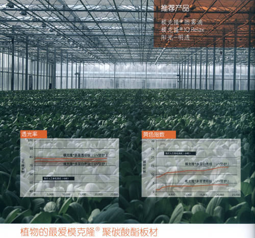 南京�光板 -聚碳酸酯板材