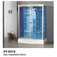   ZY-Z012