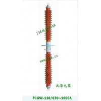 FCGW-110/630Aѹϸʽǽ׹