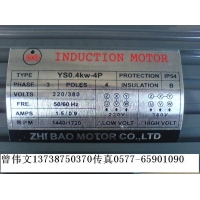 INDUCTION MOTOR YS0.2KW-4P/YS0