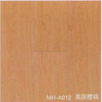 ŷذ-λϵ-MH-A012