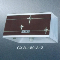 ۳̻-CXW-218-A13